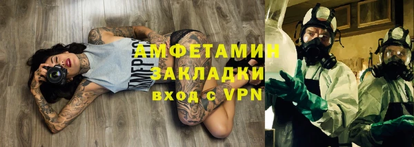 стаф Алзамай