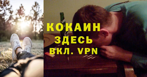 стаф Алзамай