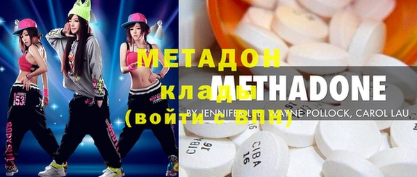 стаф Алзамай