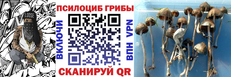 Псилоцибиновые грибы прущие грибы  omg ССЫЛКА  Люберцы 