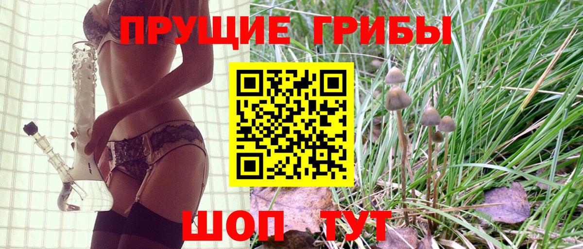 Люберцы  Галлюциногенные грибы Psilocybe  Галлюциногенные грибы Cubensis  Вход с VPN 